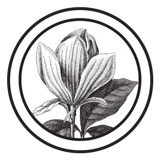 Sketchbook logo
